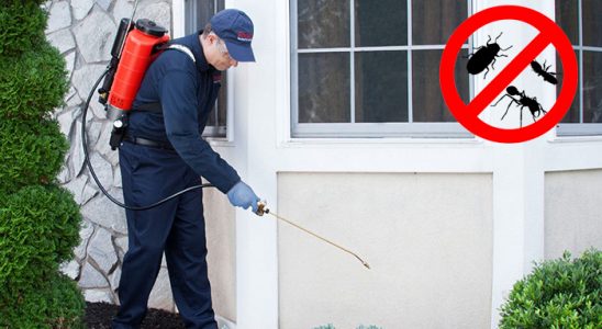 Elmalı Kene İlaçlama böcek ilaçlama ve haşere kontrolü — ilaclama-tr.com